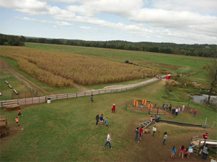 Right Choices Corn Maze